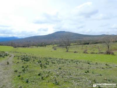 Pueblos Negros de la arquitectura negra - Sierra Norte de Guadalajara; foros senderismo amigos del s